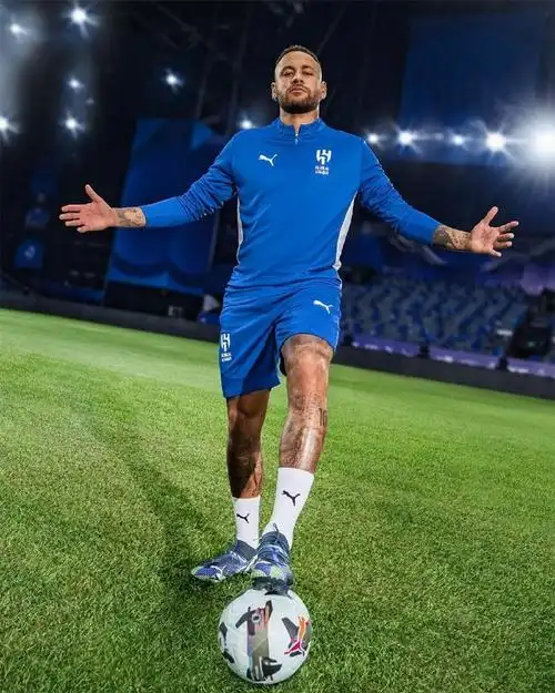 在积极寻找 在积极寻找