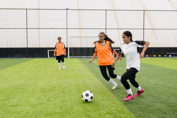 的思路不仅 的思路不仅